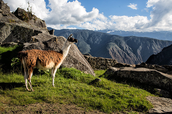 Machu Picchu, Peru.